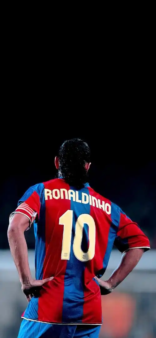 促进弗拉霍 促进弗拉霍